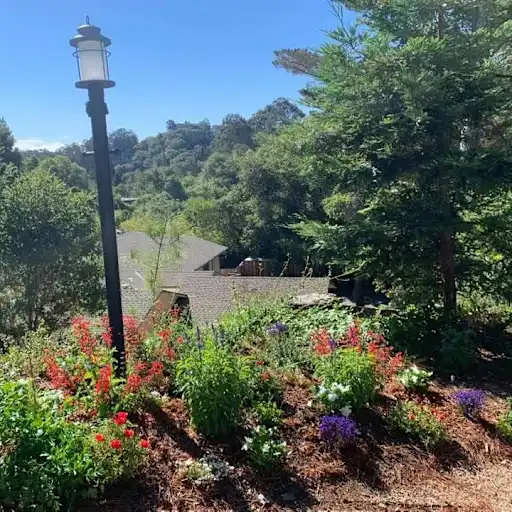 420 Moseley Road, Hillsborough, CA 94010, photo 2